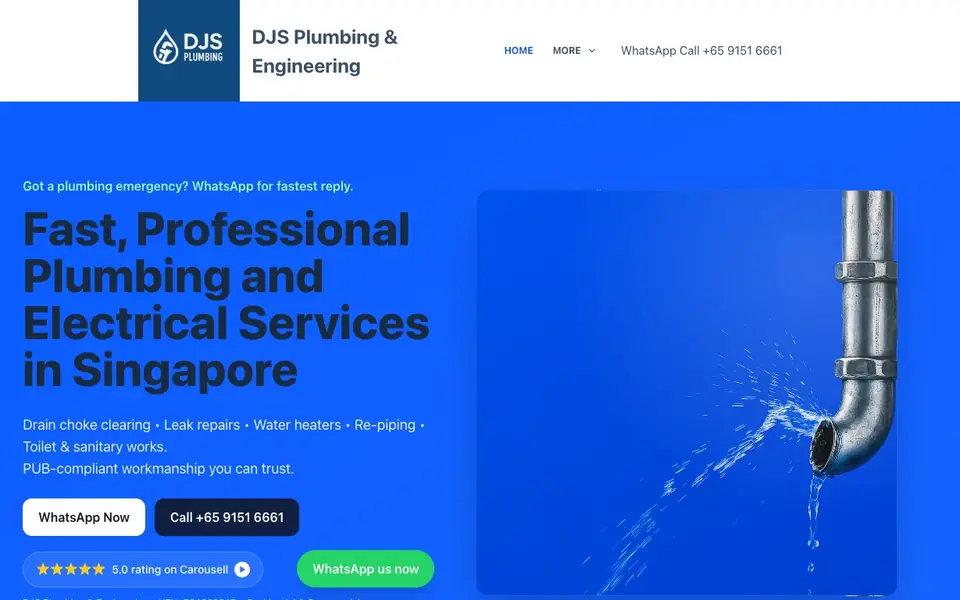 DJS Plumbing and Engineering website homepage, 4 Oct 2026
