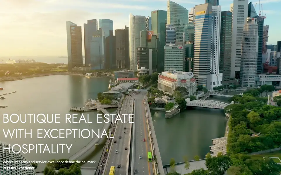 Pegasus Property Solutions website homepage, 4 Oct 2026
