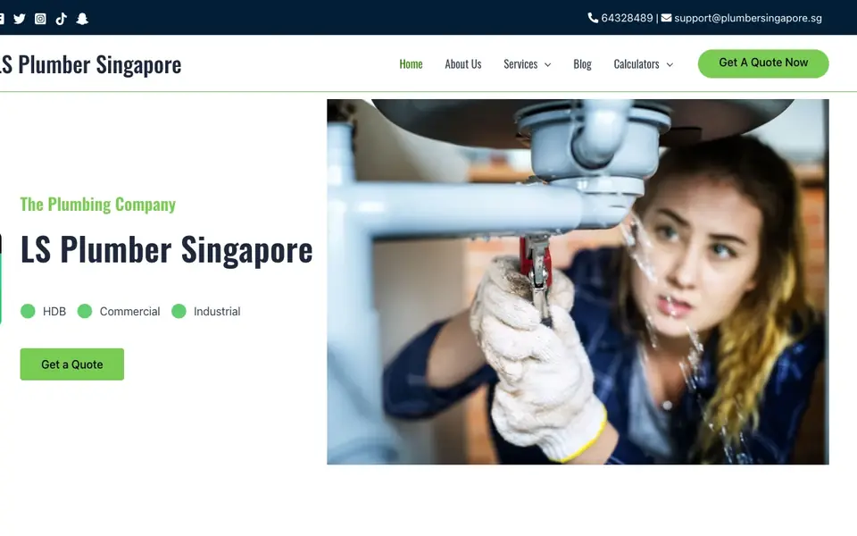 LS Plumber Singapore website homepage, 4 Oct 2026